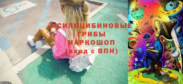 винт Аркадак