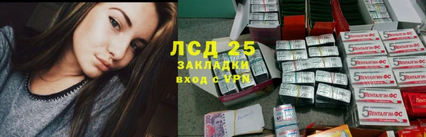 винт Аркадак
