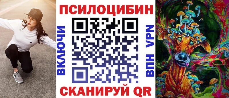 как найти   Почеп  Галлюциногенные грибы Psilocybine cubensis 